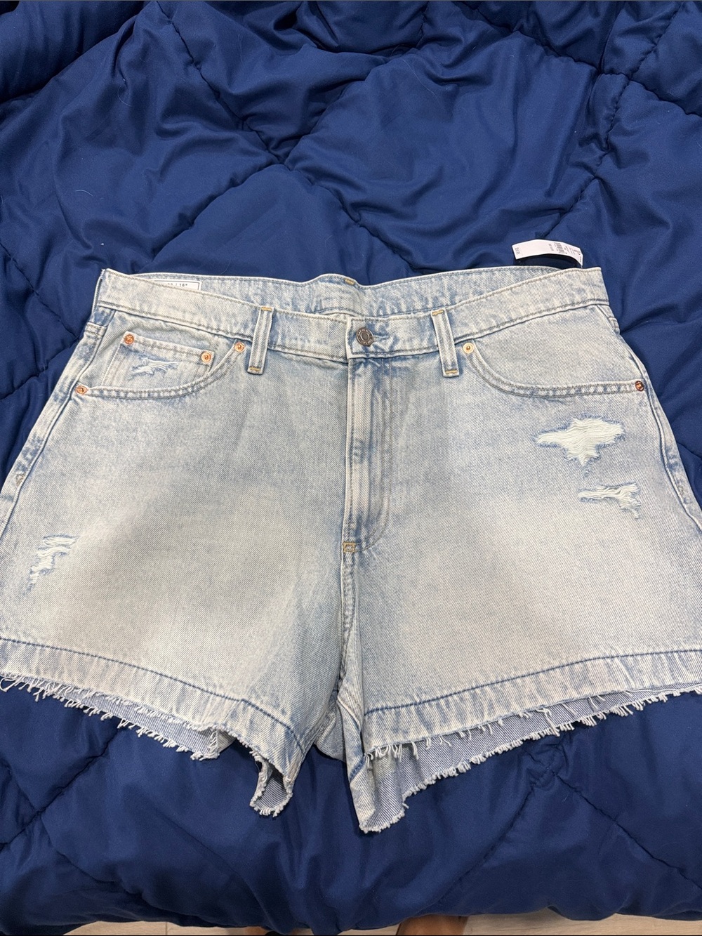 GAP Light Blue Distressed Denim Shorts( box AA)